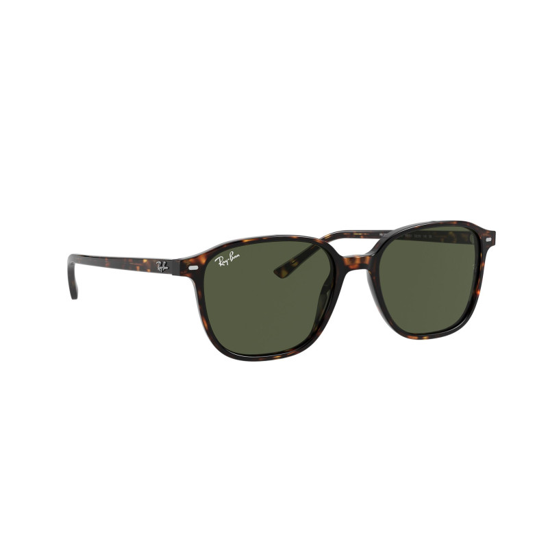 Gafas de sol RB2193 LEONARD