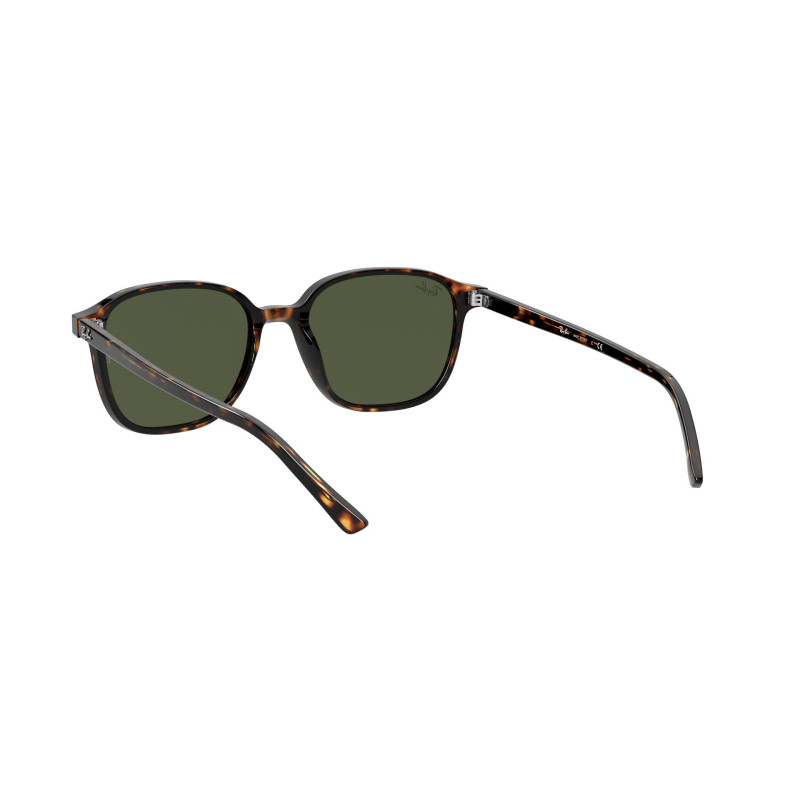 Gafas de sol RB2193 LEONARD