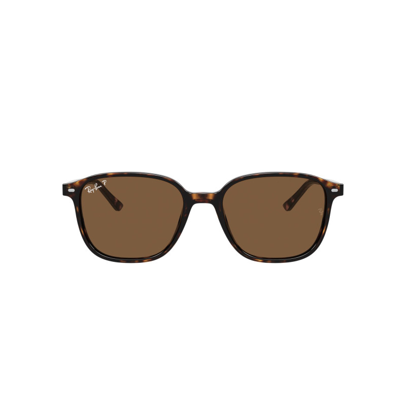 Gafas de sol RB2193 LEONARD