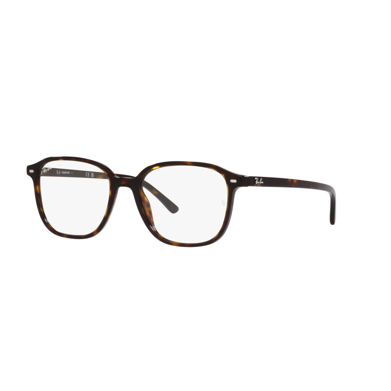 Gafas de sol RB2193 LEONARD