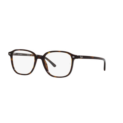 Gafas de sol RB2193 LEONARD