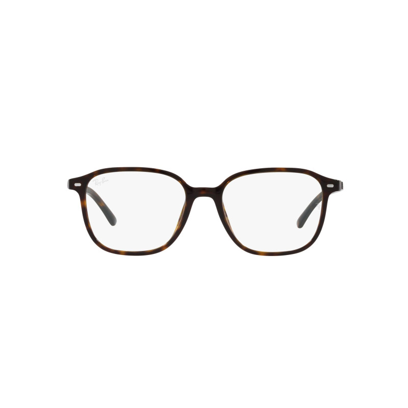Gafas de sol RB2193 LEONARD