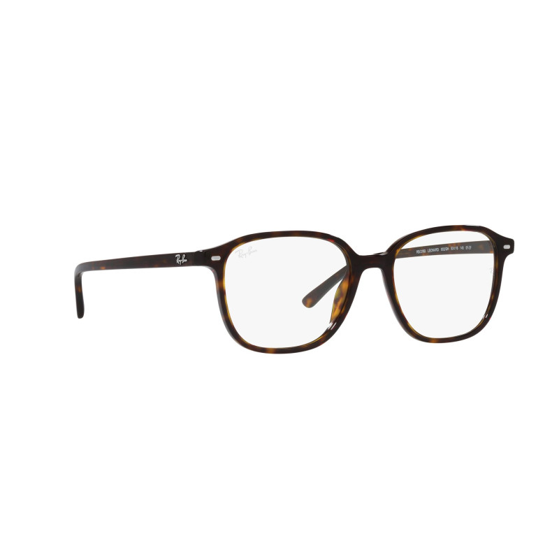 Gafas de sol RB2193 LEONARD