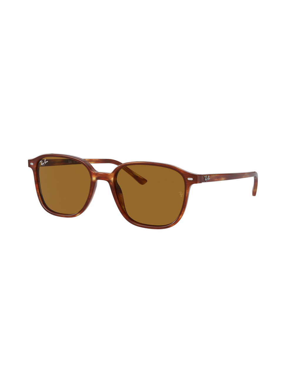 Gafas de sol RB2193 LEONARD