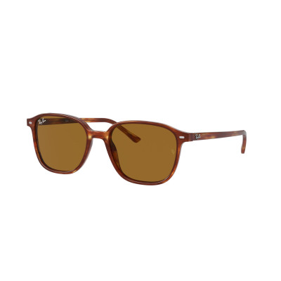 Gafas de sol RB2193 LEONARD