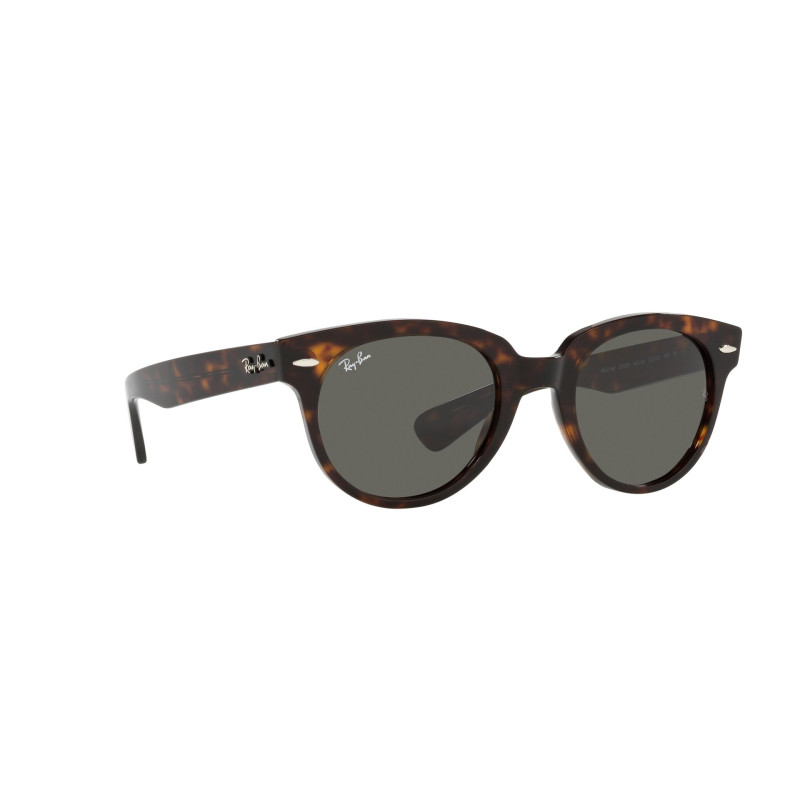 Gafas de sol RB2199 ORION