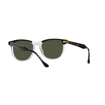 Gafas de sol RB2398 EAGLEEYE