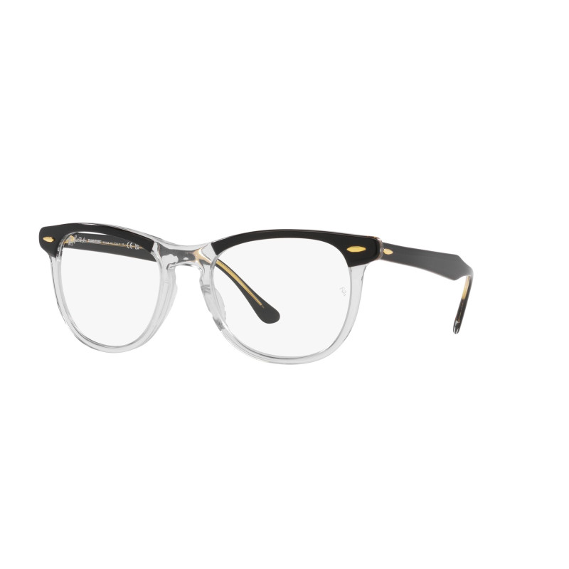 Gafas de sol RB2398 EAGLEEYE