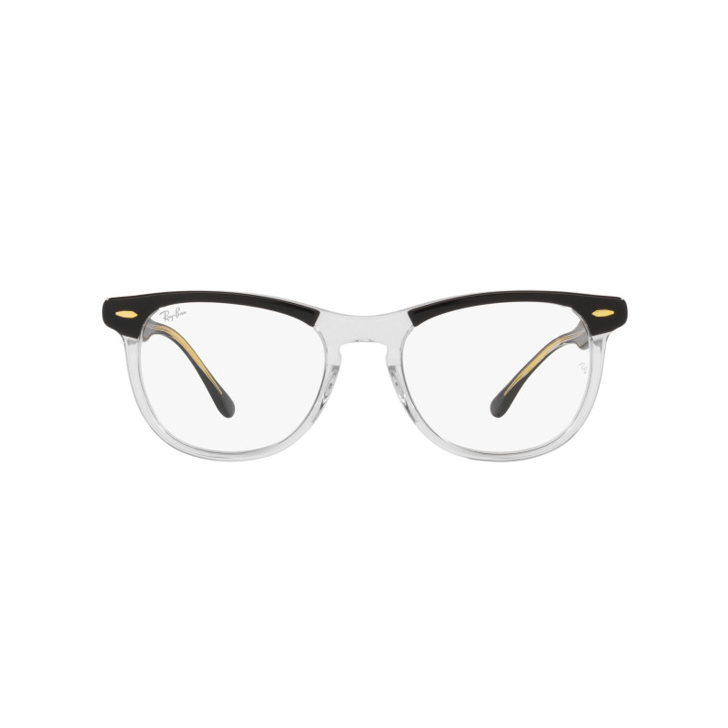 Gafas de sol RB2398 EAGLEEYE