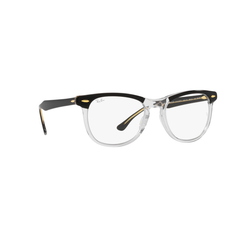 Gafas de sol RB2398 EAGLEEYE
