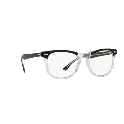 Gafas de sol RB2398 EAGLEEYE