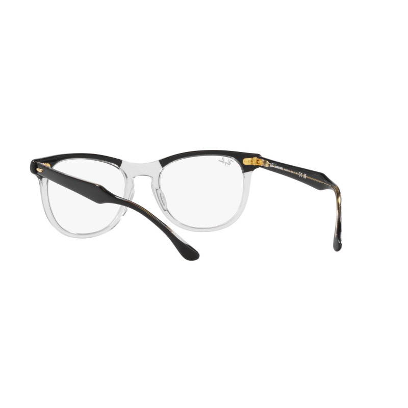 Gafas de sol RB2398 EAGLEEYE