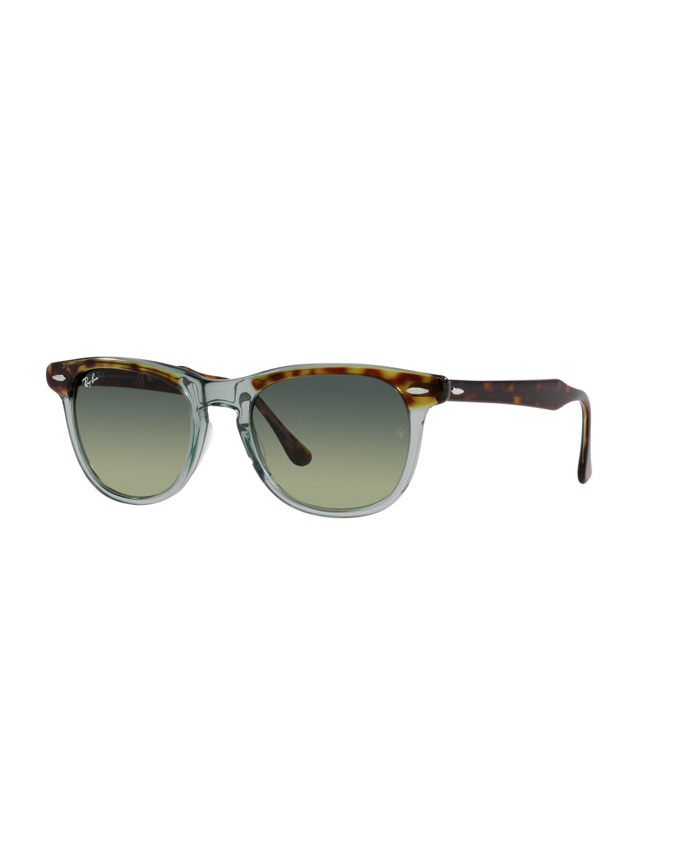 Gafas de sol RB2398 EAGLEEYE