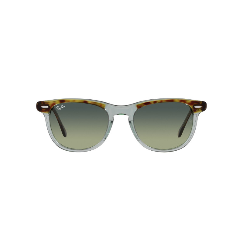 Gafas de sol RB2398 EAGLEEYE