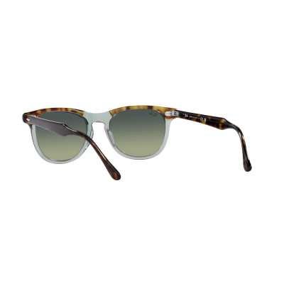 Gafas de sol RB2398 EAGLEEYE