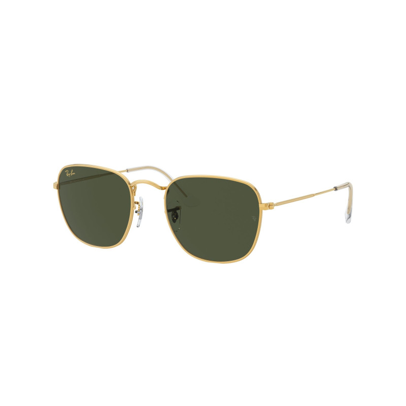 Gafas de sol RB3857 FRANK