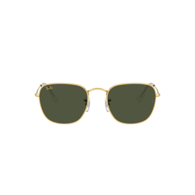 Gafas de sol RB3857 FRANK