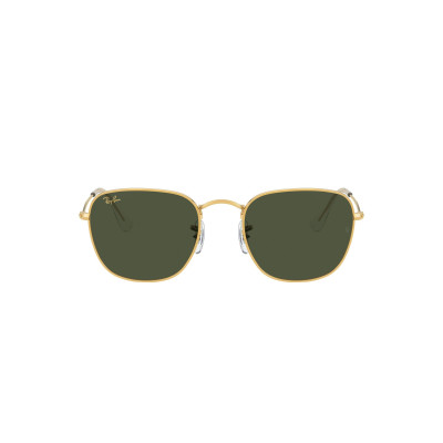 Gafas de sol RB3857 FRANK