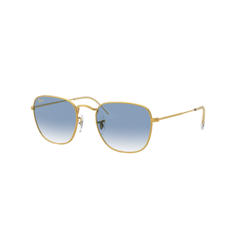Gafas de sol RB3857 FRANK