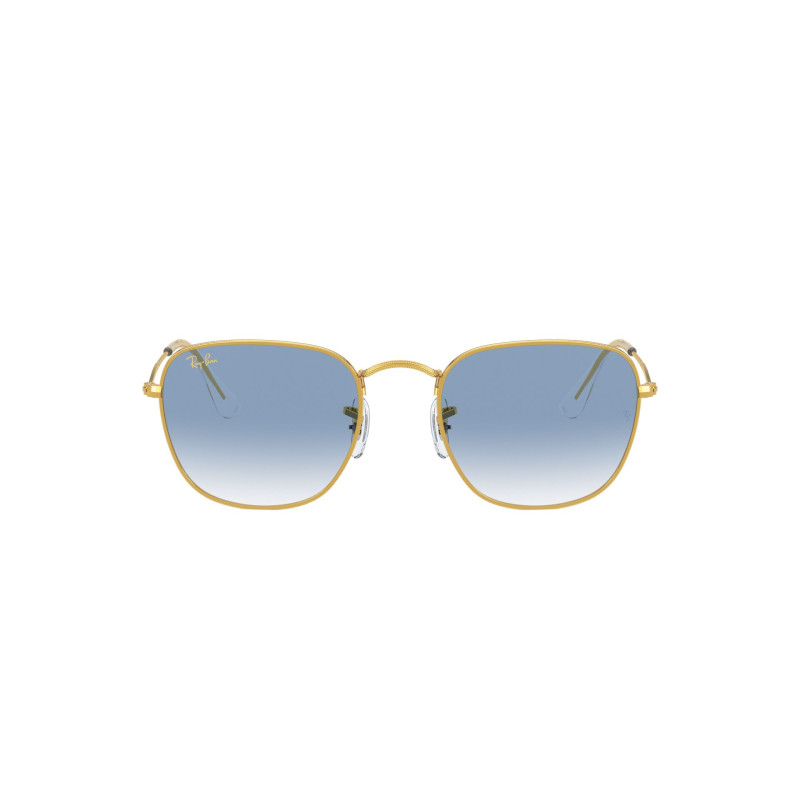 Gafas de sol RB3857 FRANK