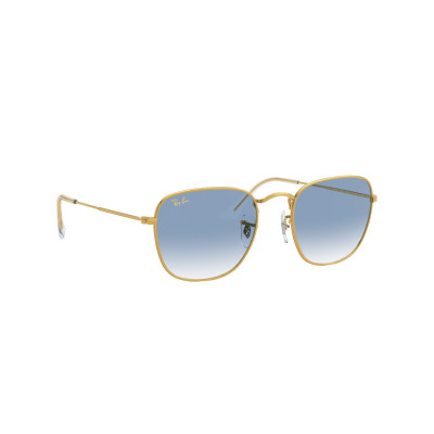 Gafas de sol RB3857 FRANK