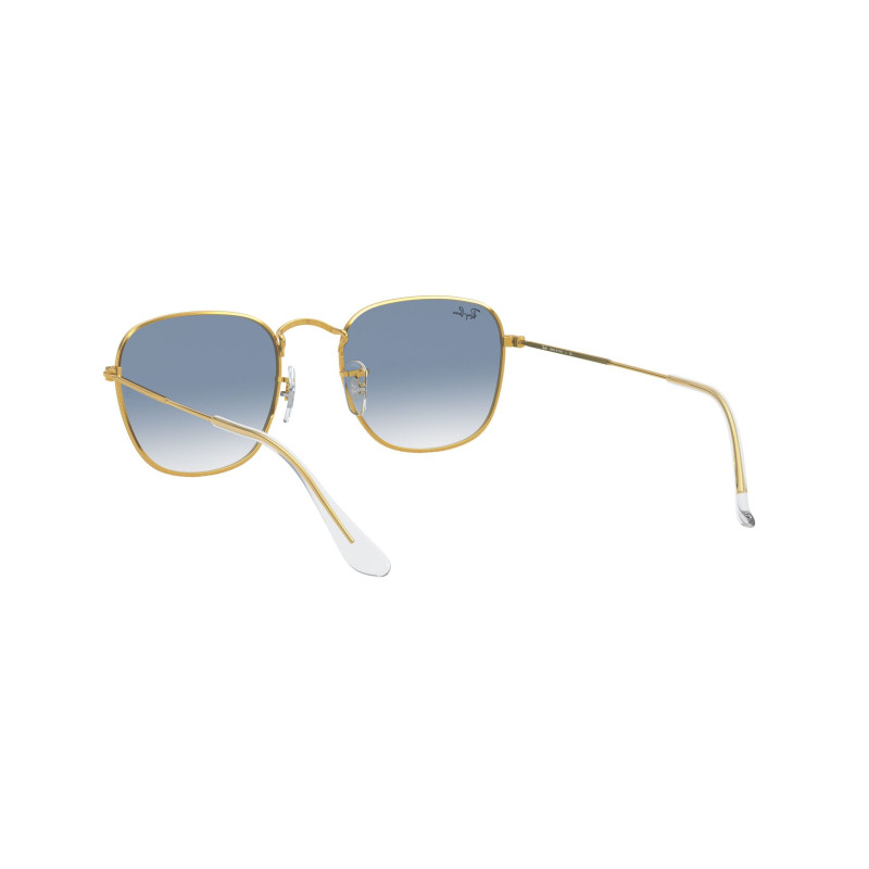 Gafas de sol RB3857 FRANK