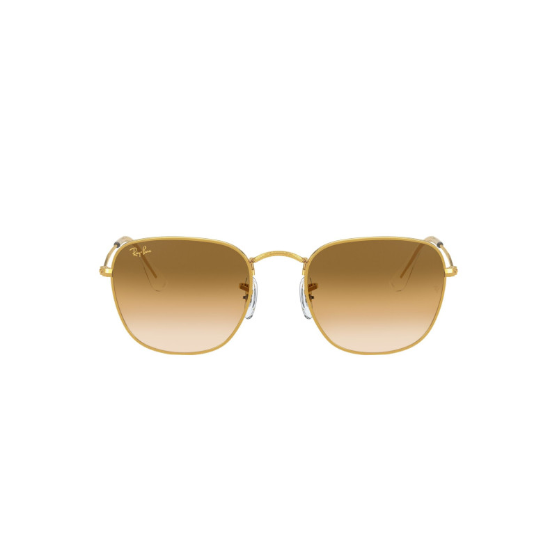 Gafas de sol RB3857 FRANK