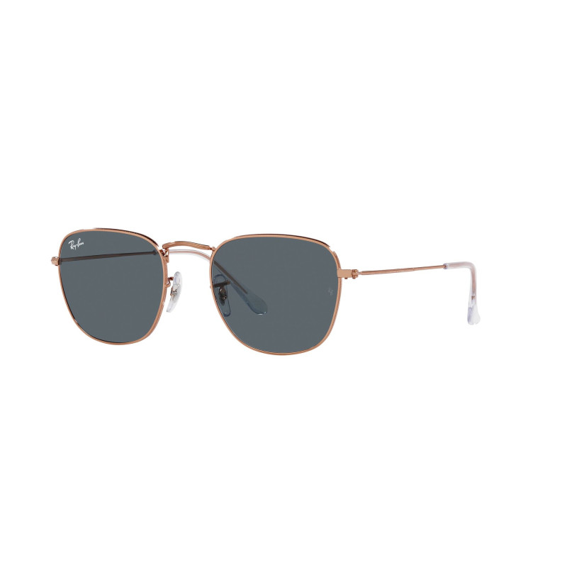 Gafas de sol RB3857 FRANK