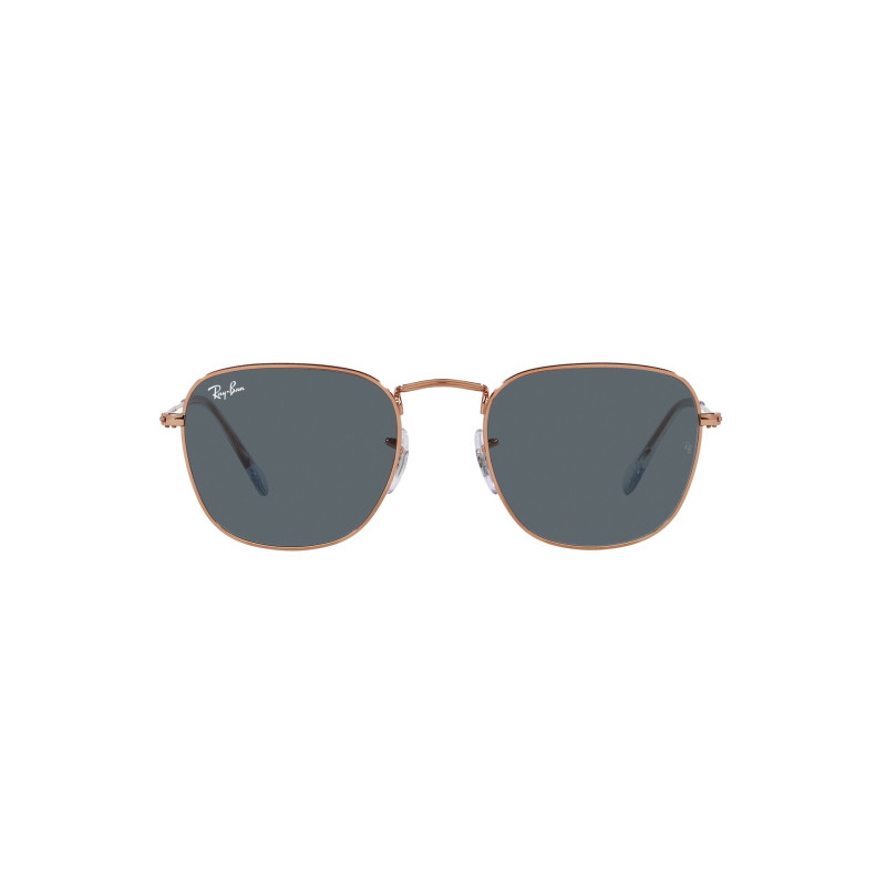 Gafas de sol RB3857 FRANK