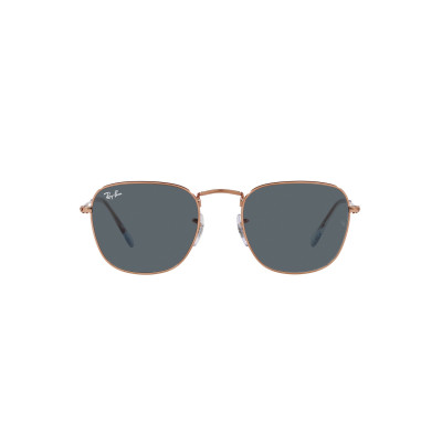 Gafas de sol RB3857 FRANK