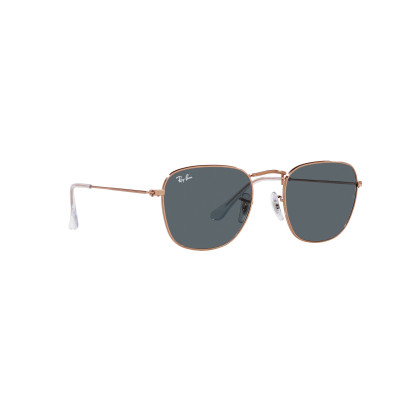 Gafas de sol RB3857 FRANK