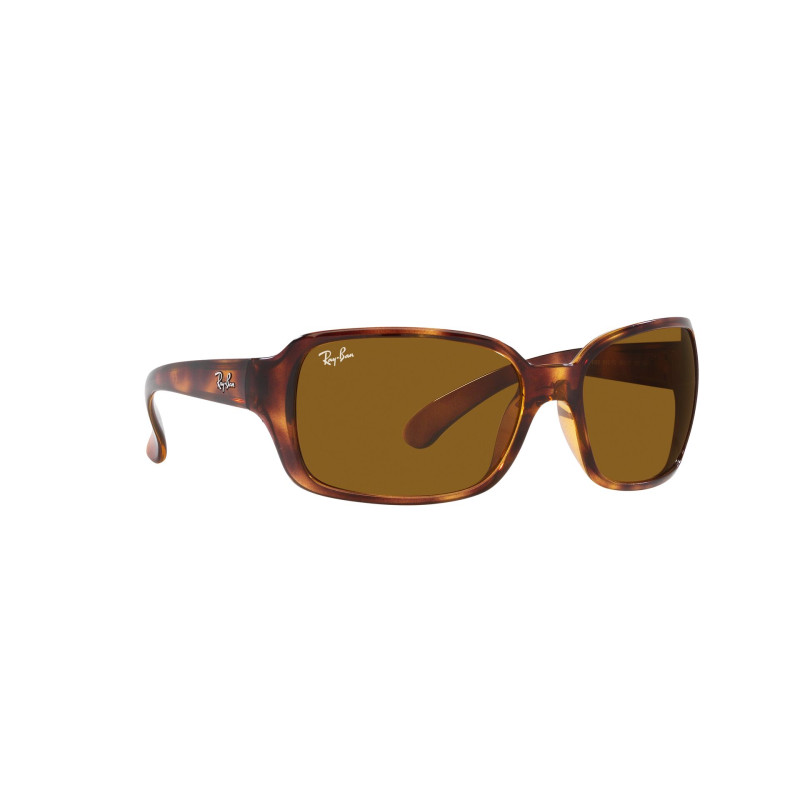Gafas de sol RB4068 RB4068