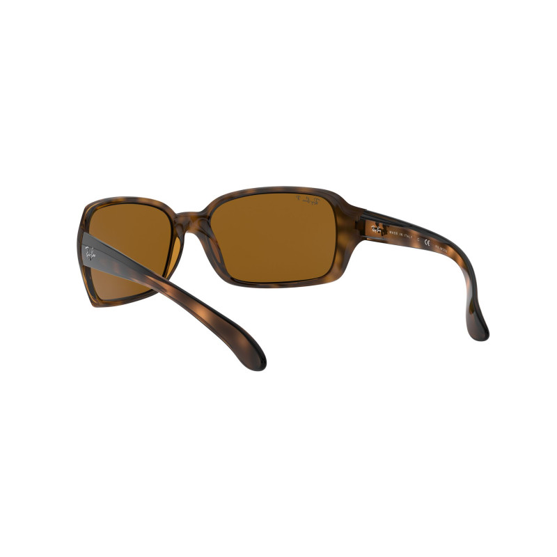 Gafas de sol RB4068 RB4068