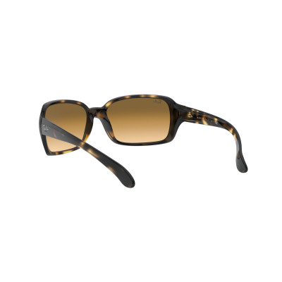 Gafas de sol RB4068 RB4068