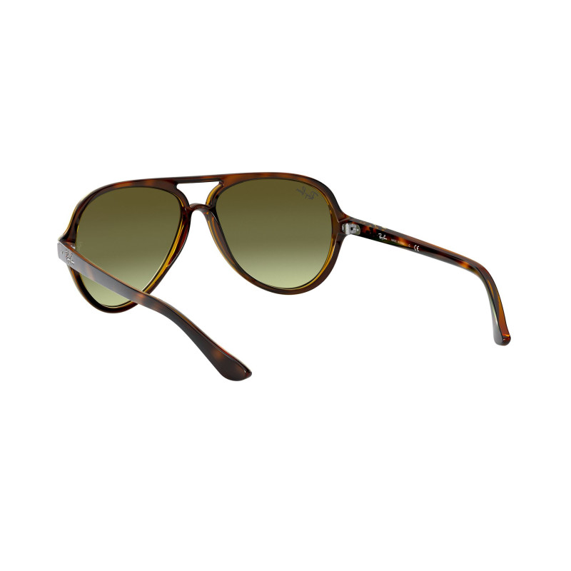 Gafas de sol RB4125 CATS 5000
