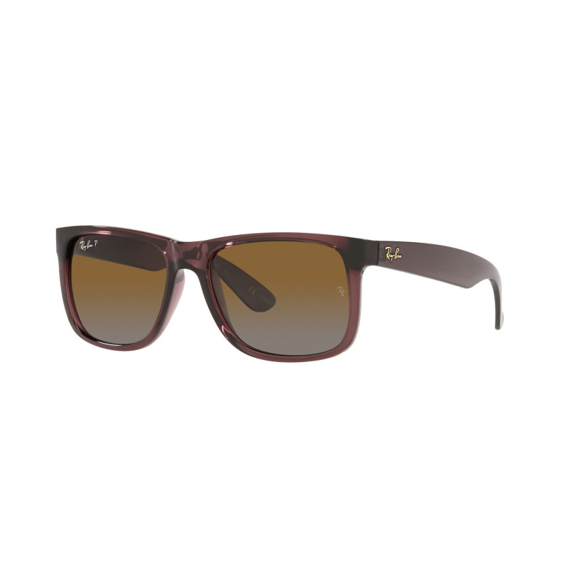 Gafas de sol RB4165 JUSTIN