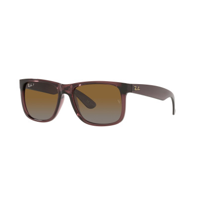 Gafas de sol RB4165 JUSTIN