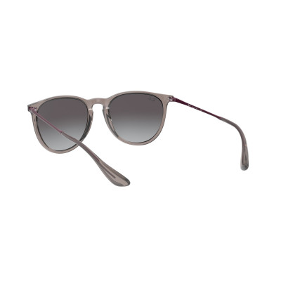 Gafas de sol RB4171 ERIKA