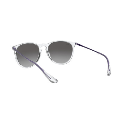 Gafas de sol RB4171 ERIKA