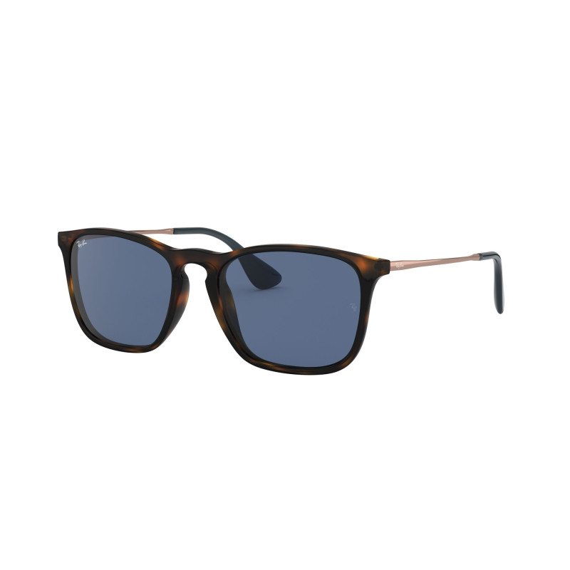 Gafas de sol RB4187 CHRIS