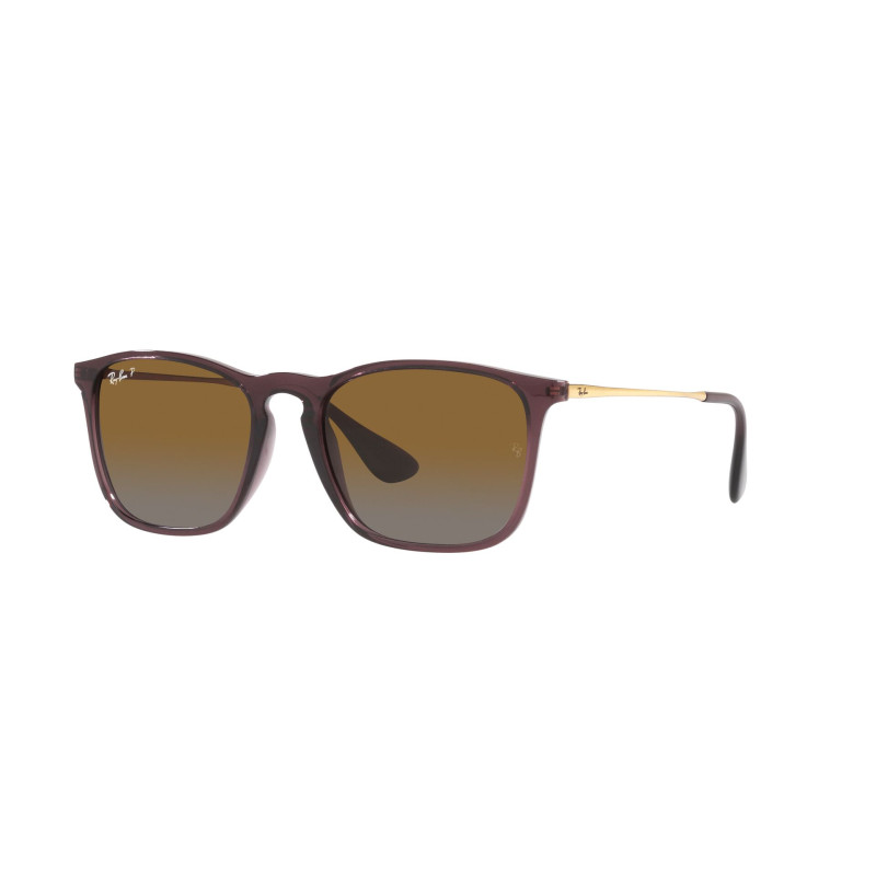 Gafas de sol RB4187 CHRIS