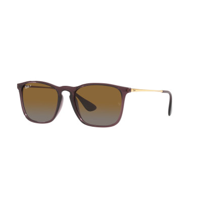 Gafas de sol RB4187 CHRIS