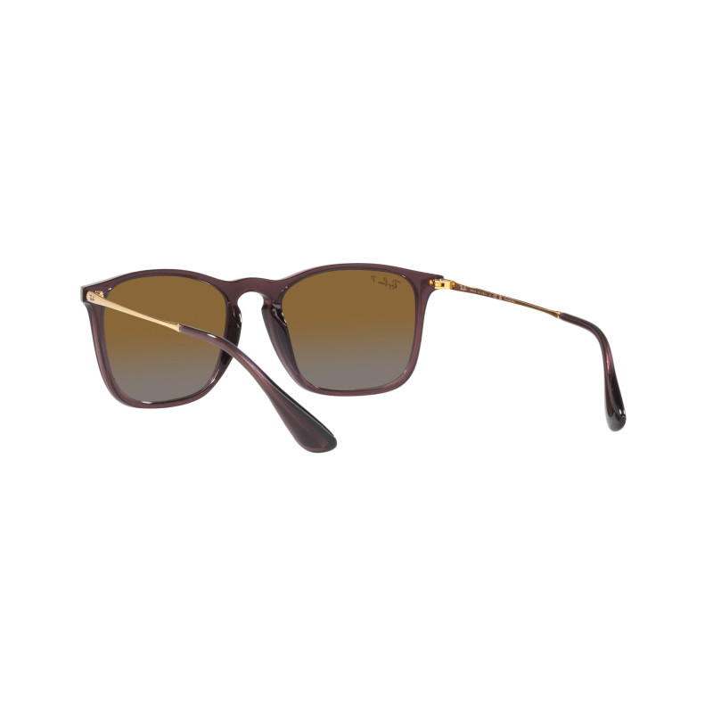 Gafas de sol RB4187 CHRIS