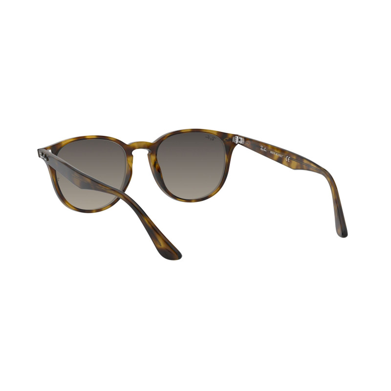 Gafas de sol RB4259