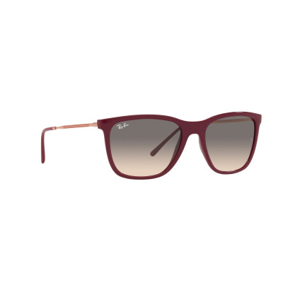 Gafas de sol RB4344