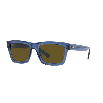 Gafas de sol RB4396 WARREN