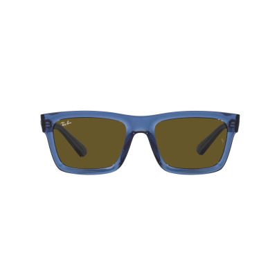 Gafas de sol RB4396 WARREN