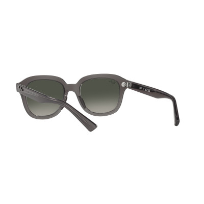 Gafas de sol RB4398 ERIK