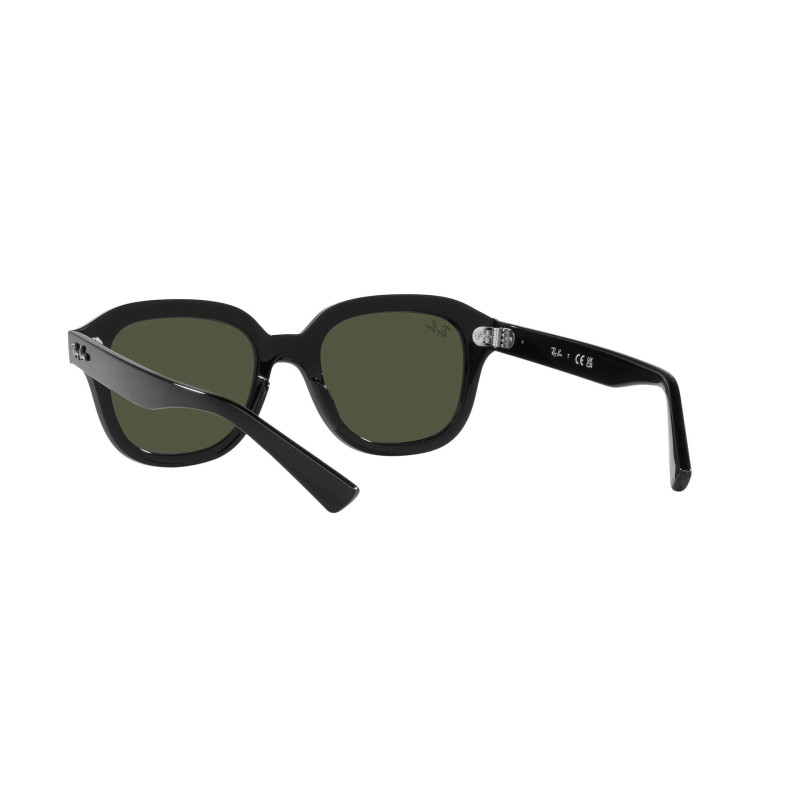 Gafas de sol RB4398 ERIK