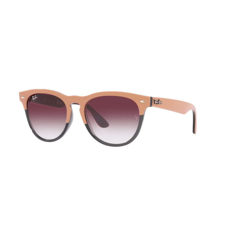 Gafas de sol RB4471 IRIS